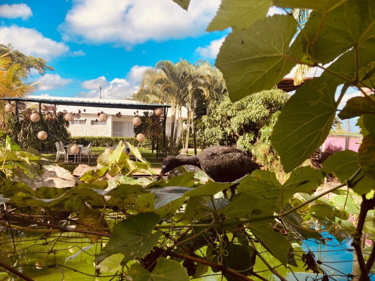 Villa Cristal Santa Elena  エクステリア 写真